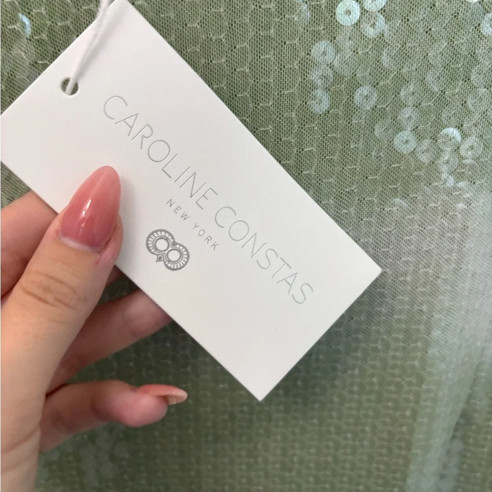 NWT Caroline Constas Mint & White Sequin Dress - Picture 5 of 6